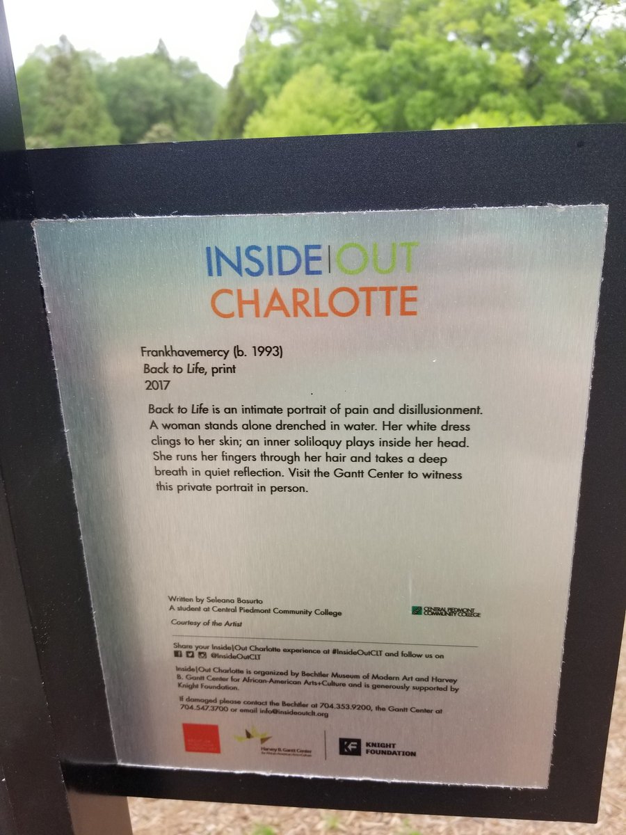 er_levass's tweet photo. Caught a nice @InsideOutCLT piece at freedom park this morning @andygoh https://t.co/6And9oPv0n