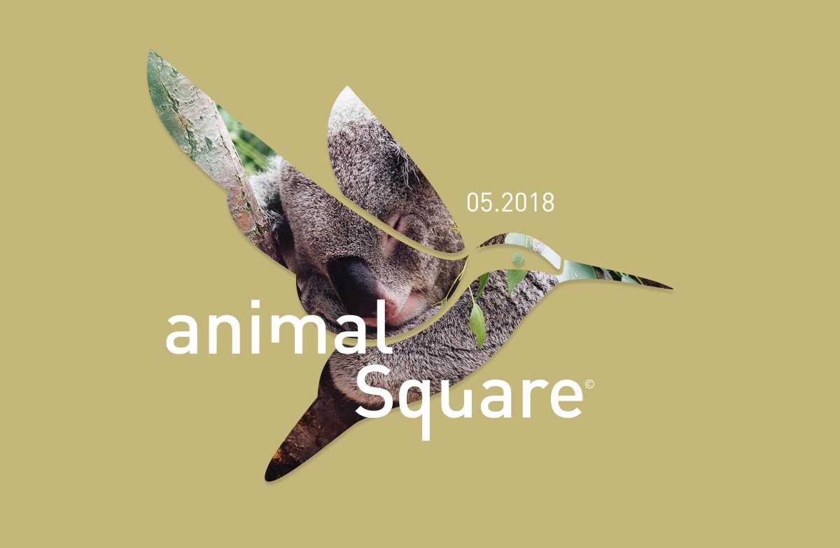 Blueberrysoff's tweet photo. Notre dernier bébé, un projet plein de sens, inspirant &amp; passionnant ! AnimalSquare est l'innovation de l'année en matière de rapport aux animaux, suivez leurs conférences &amp; ateliers de près ! https://t.co/jhvjYnMka4 #design #logo #logotype #creation #Strasbourg #publicité https://t.co/Zb30XEGEbP