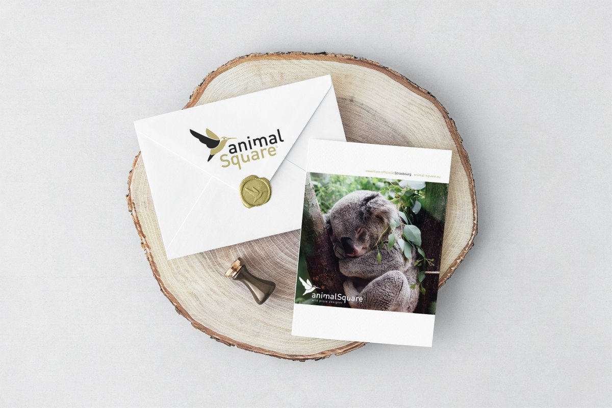 Blueberrysoff's tweet photo. Notre dernier bébé, un projet plein de sens, inspirant &amp; passionnant ! AnimalSquare est l'innovation de l'année en matière de rapport aux animaux, suivez leurs conférences &amp; ateliers de près ! https://t.co/jhvjYnMka4 #design #logo #logotype #creation #Strasbourg #publicité https://t.co/Zb30XEGEbP
