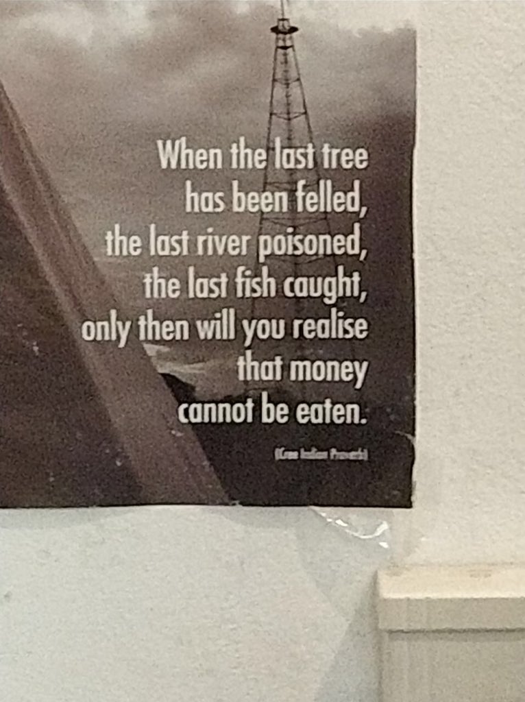 triptikedia's tweet image. We ruminate. Hopefully this will stir us enough to ignite the fire within and in others. #savetheenvironment #natureview #letspledge #gogreen