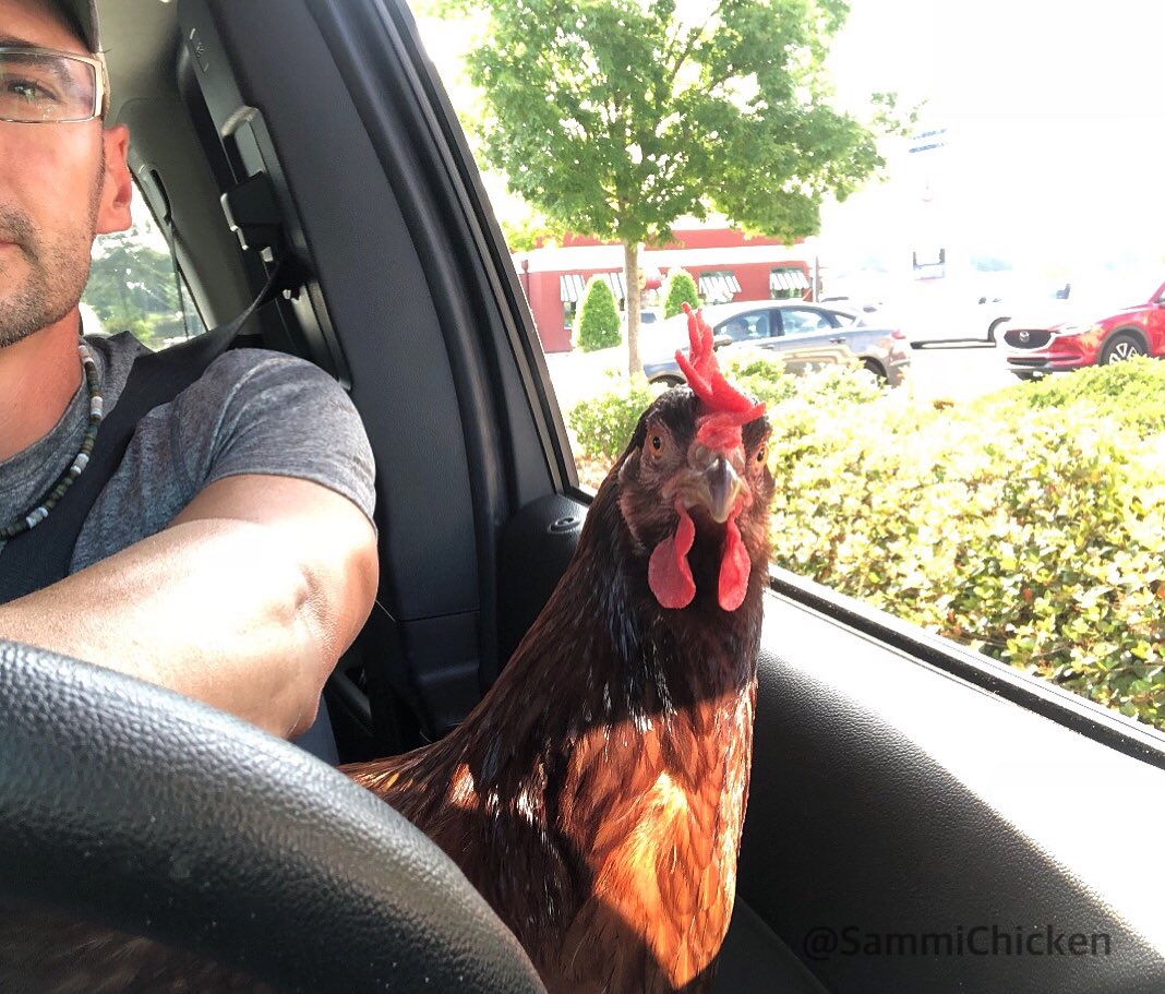 SammiChicken's tweet photo. "What's that voice?!"➡️"Is that God speaking to us?!"➡️"We're at the Drive-thru? That wasn't funny Dave" 😠
#voicefromabove #godspeaks #drivethru #chickenofthesea #beachchicken #Alabama https://t.co/0ut9rPKbgU