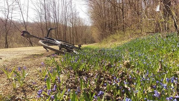 penncycle's tweet photo. Out and about on this gorgeous morning yesterday. Where are you #riding this weekend? #trekbikes #checkpointsl6 #gravel #hiddenjems #spring #Trek #ridinggravel https://t.co/l1NJoa5mMN