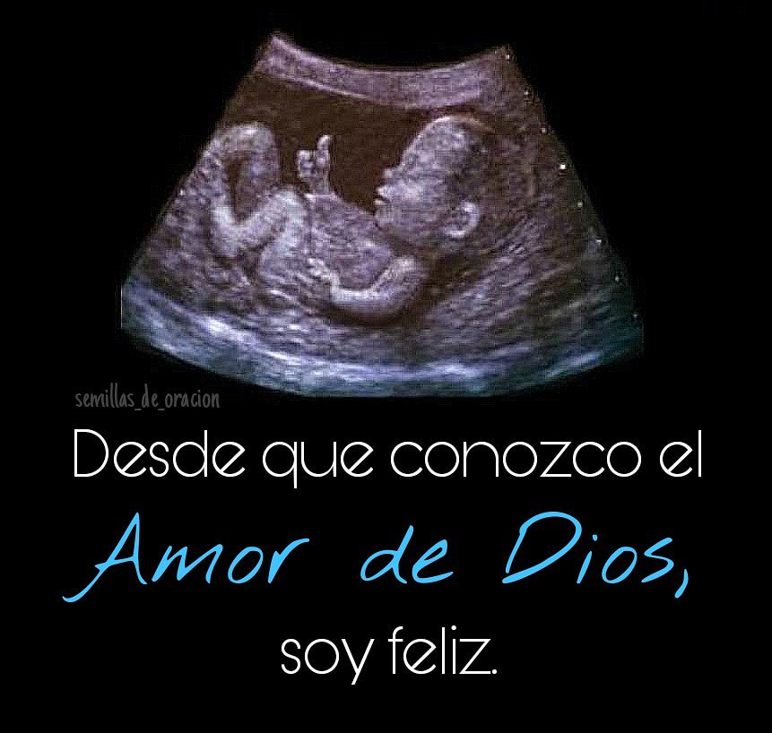 Semillasoracion's tweet photo. Amar a Dios... es defender la vida! https://t.co/d8mfU1nBs5