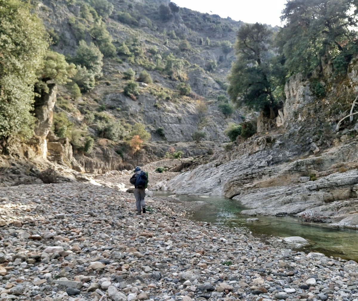 LPuddori's tweet photo. La vita in Sardegna è forse la migliore che un uomo possa augurarsi: ventiquattro mila chilometri di foreste, di campagne, di coste immerse in un mare miracoloso dovrebbero coincidere con quello che io consiglierei al buon Dio di regalarci come Paradiso. https://t.co/RbvR0IbWNP