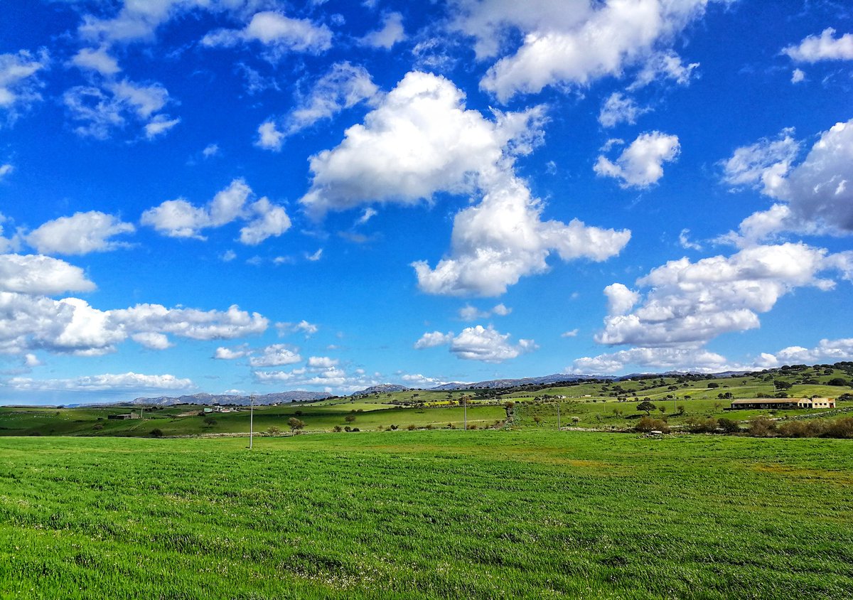 LPuddori's tweet photo. La vita in Sardegna è forse la migliore che un uomo possa augurarsi: ventiquattro mila chilometri di foreste, di campagne, di coste immerse in un mare miracoloso dovrebbero coincidere con quello che io consiglierei al buon Dio di regalarci come Paradiso. https://t.co/RbvR0IbWNP
