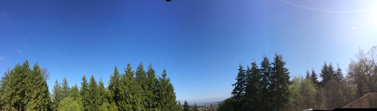 glampingpark's tweet photo. #Beautiful #sunny day, birds are singing and not a cloud in the sky here #glamping #Mid #Wales #BankHoliday #weekendsunshine https://t.co/7p5KBO4Asl
