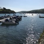 Photo by No 55 Restaurant (@55Salcombe)