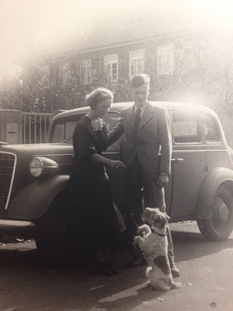 lucigosling's tweet photo. #situpandbeg #1930s #vintagedogs @Mary_Evans https://t.co/B56NQbbAgf