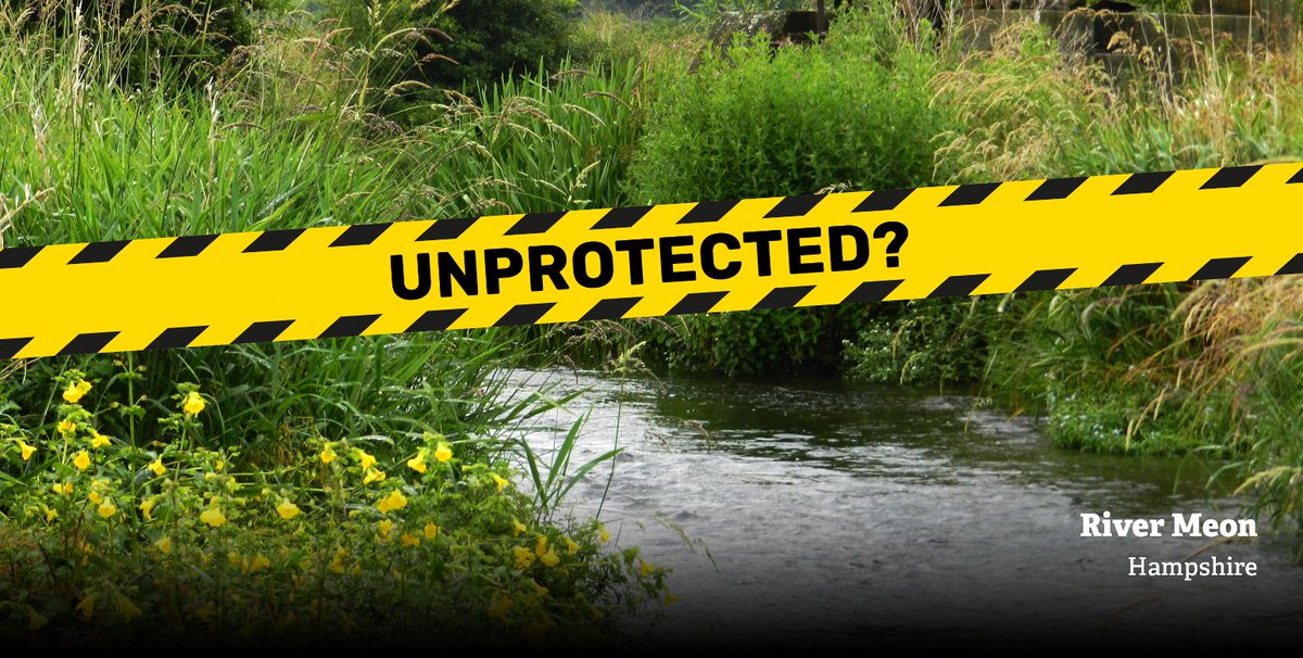 HantsIWWildlife's tweet image. Parts of the River Meon are among the thousands of our Local Wildlife sites set to lose their protections under government proposals for new planning rules. Only a few days left to take action! wtru.st/saveLWS   #UnprotectedSites #ActSwiftly