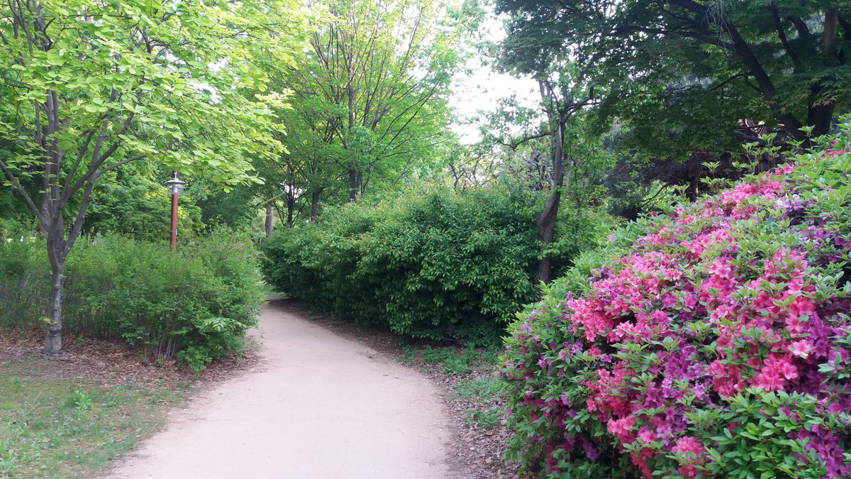 choibd007's tweet image. 반갑읍니다~넘오랜만에글을올리네요~요즘은가까운곳에도좋은배경이있네요^^