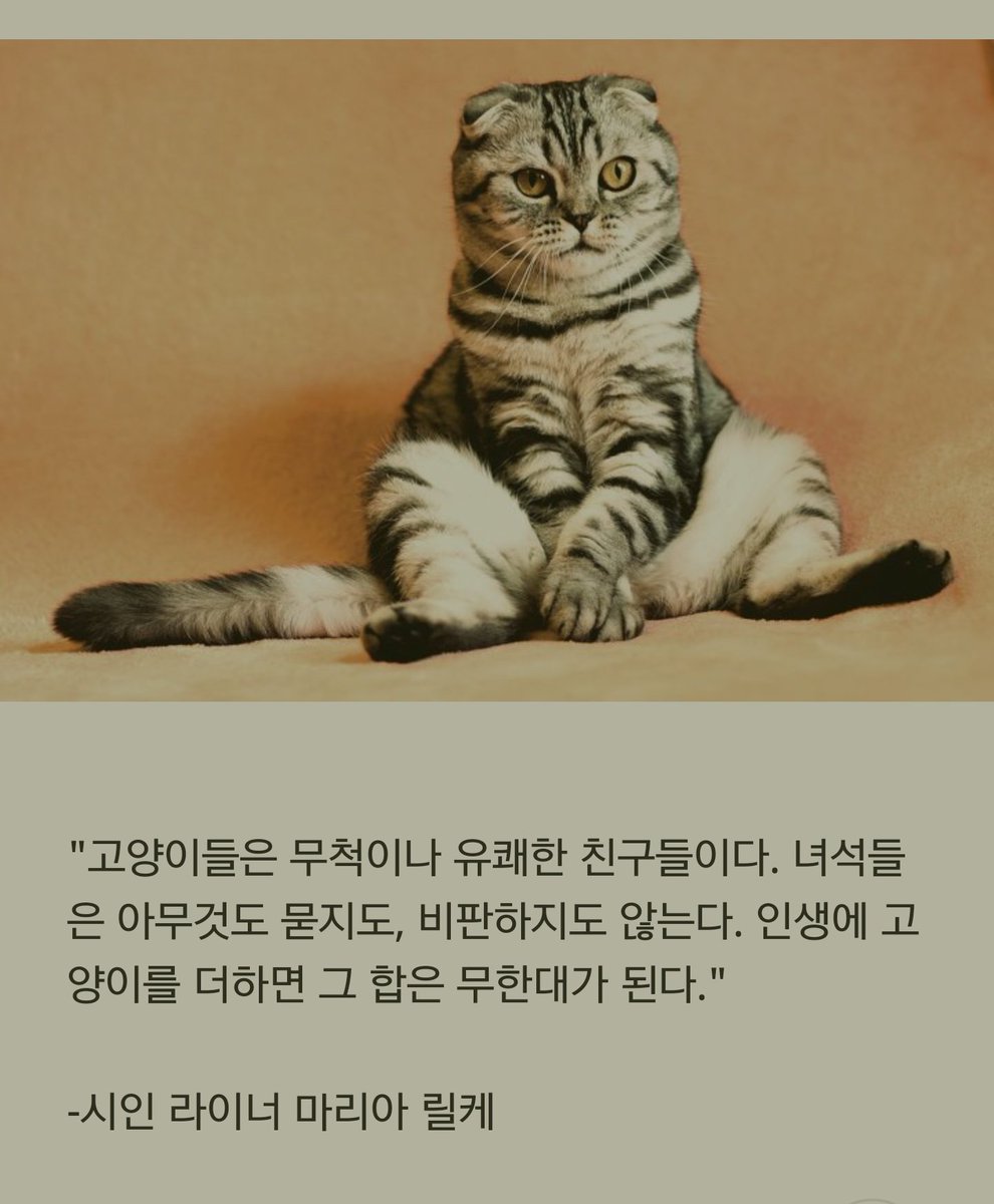 sofiaKo09 tweet picture
