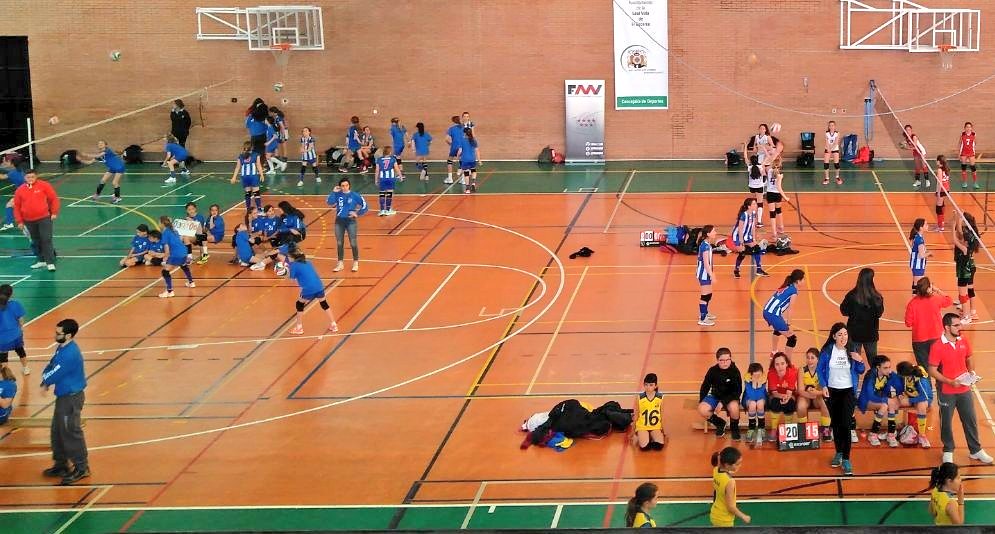 FMadridVB's tweet photo. La 2a Prueba del CIRCUITO de MINIVOLEY, a pleno RENDIMIENTO en el Pabellón Municipal de EL ESCORIAL

¡8 Pistas y más de 30 equipos participantes! #SomosVoleibol https://t.co/fj5LsXVr2n