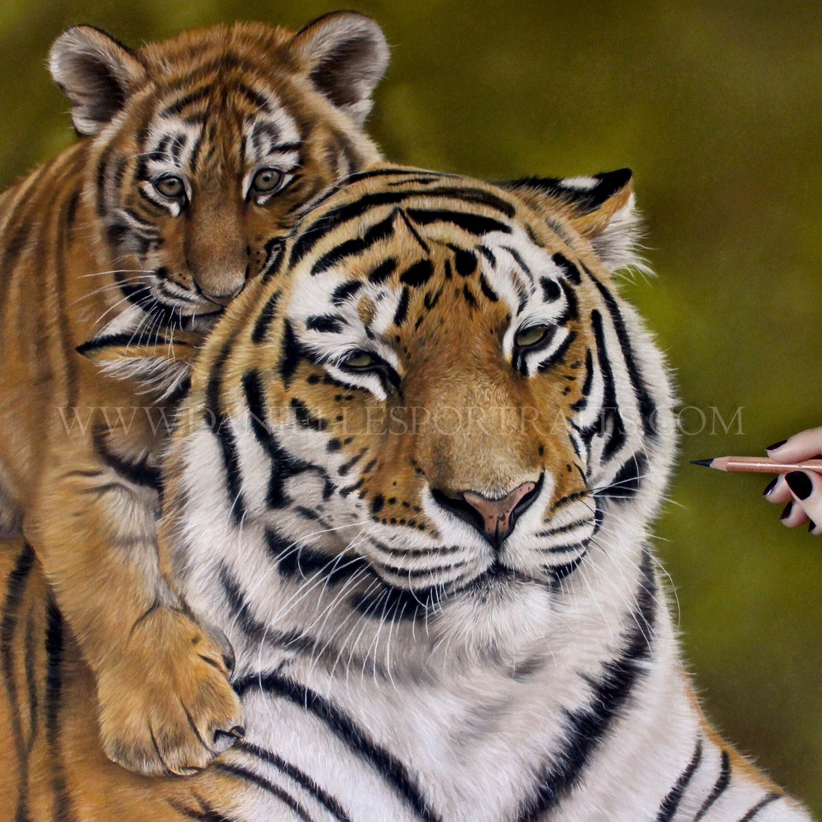df_artist's tweet photo. ‘Baby on Board’ 
Pastel on Pastelmat 19x27”
Limited edition prints now available! 

https://t.co/p6uHKrlTFU https://t.co/EdWNCNMi0L