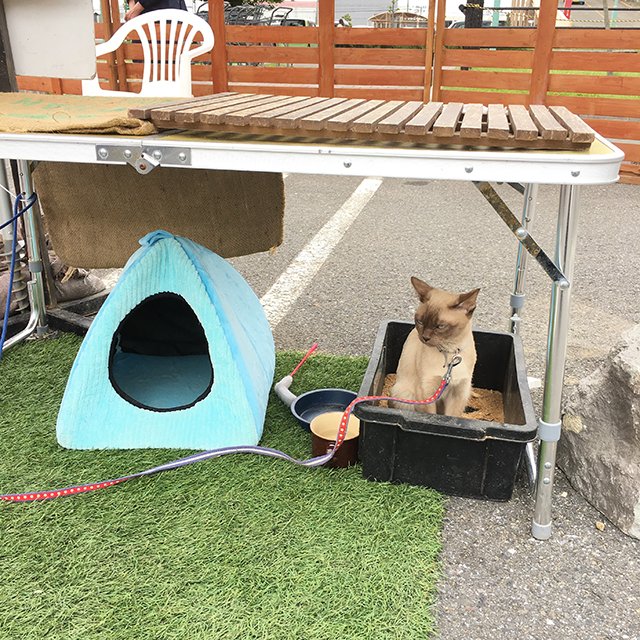 モレラ岐阜 18年ゴールデンウィーク移動動物園