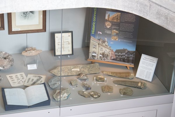 FISHdigitise's tweet photo. Evolving #shropshire #exhibition @LudlowLibrary and museum resource centre is now open with some lovely specimens from Ludlow's collections and on loan from @NHM_London 😀 https://t.co/HlmL457HOq