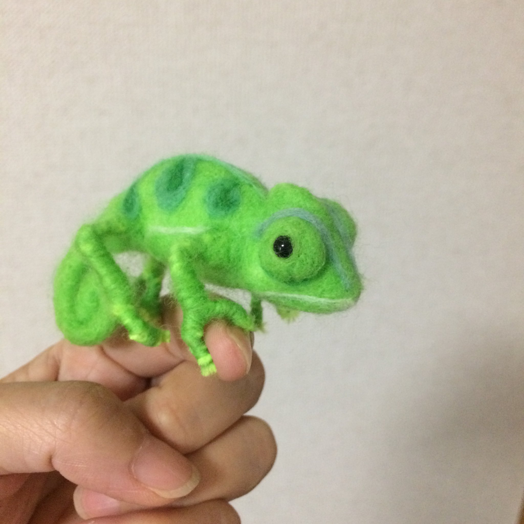 カメレオン 羊毛フェルト - amsfilling.com