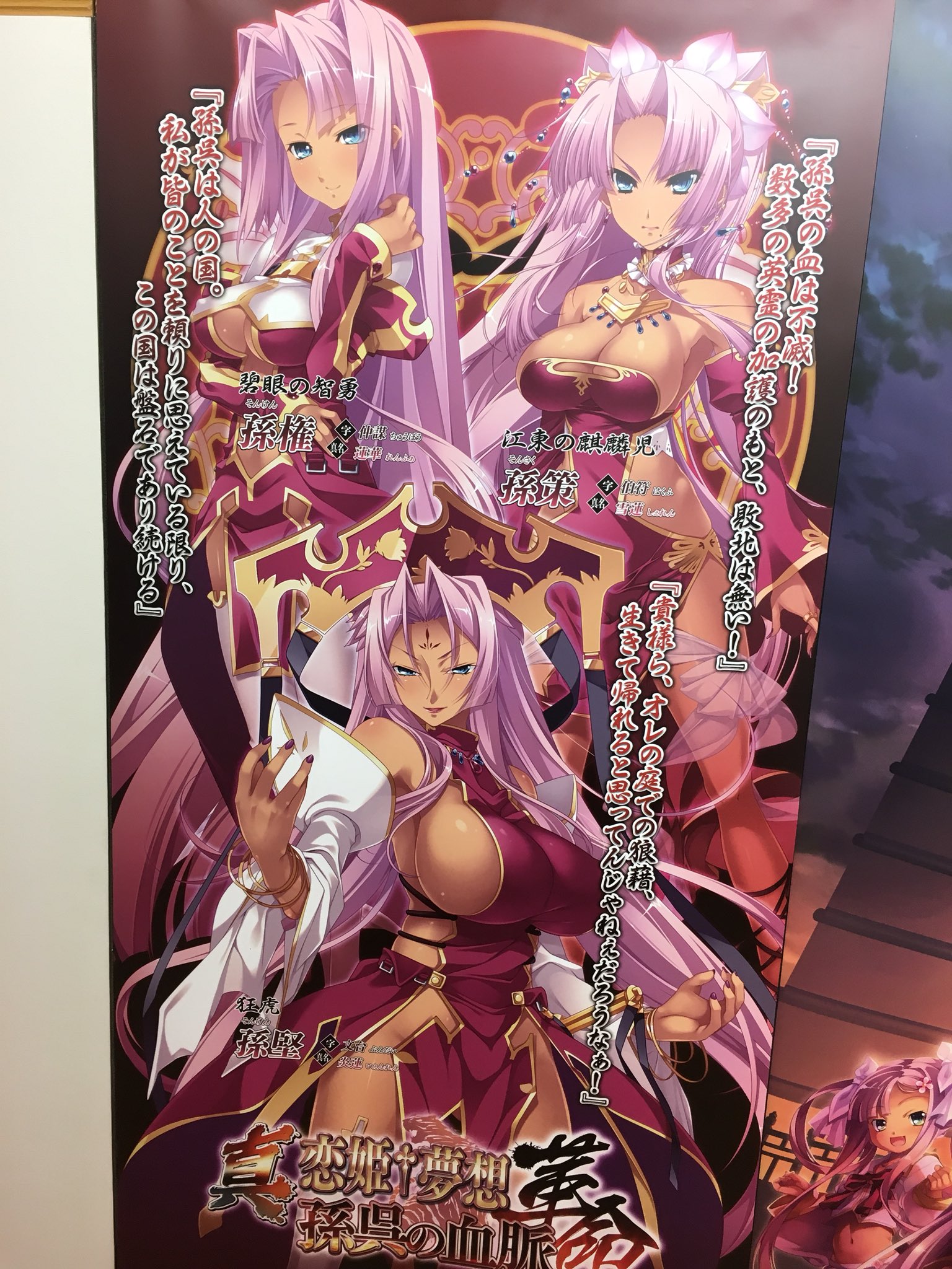 ドラ 美少女アート原画展で恋姫無双のイラストを観ました 恋姫無双 曹操 孫権 孫策 ポッポ街 T Co K3gh9s6tpw Twitter