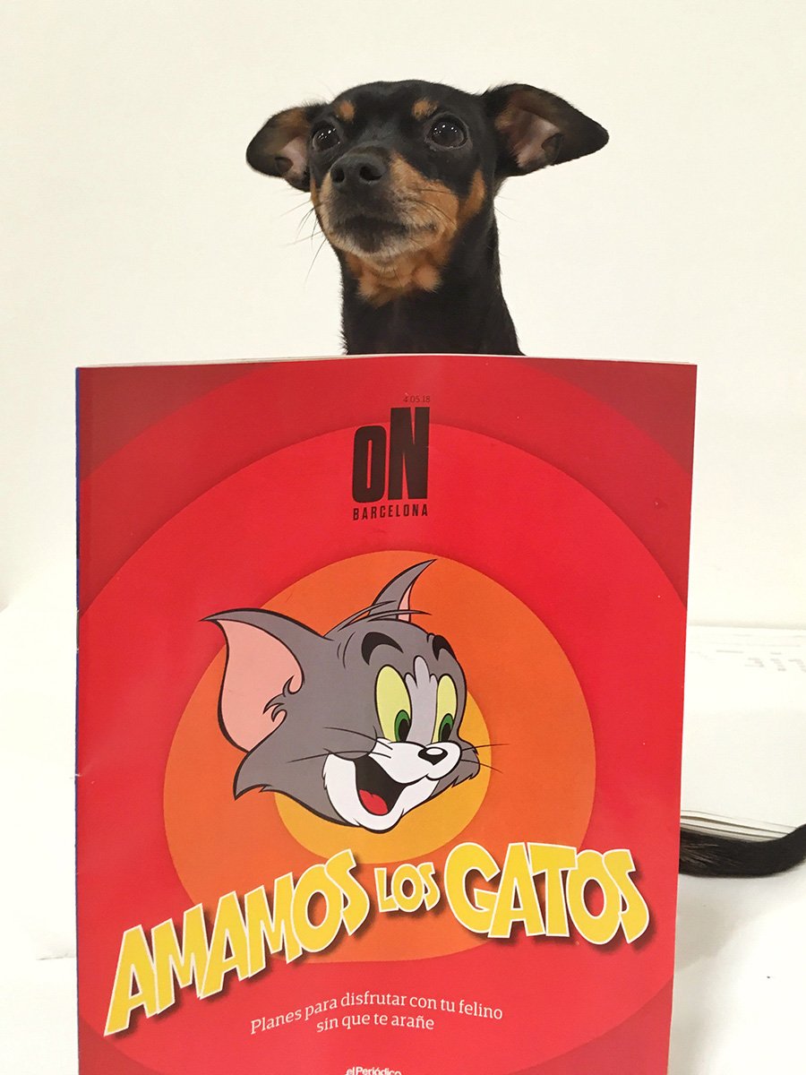 elperiodico.com/es/noticias/on…