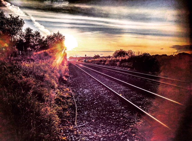 Goldpheasant's tweet image. With #plumley train station on our door step at the #goldenpheasant why not take a ride on the train and dine with us. Book your table here 👉 ow.ly/wq3u30jKRhQ @JWLeesBrewery @northernassist @knutsford @SoMagazine1 @sohale