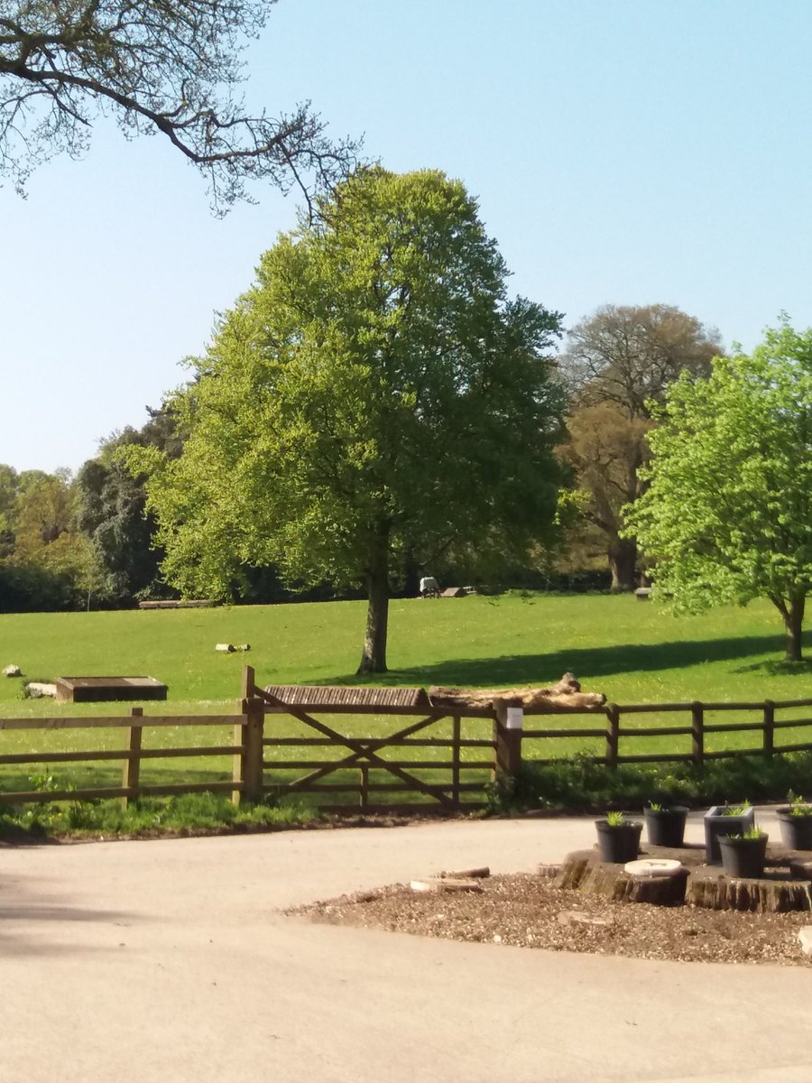 mariannereadma1's tweet photo. Fun in the sun with a bit of dressage stewarding #glorioussun https://t.co/HWX0tSucS6