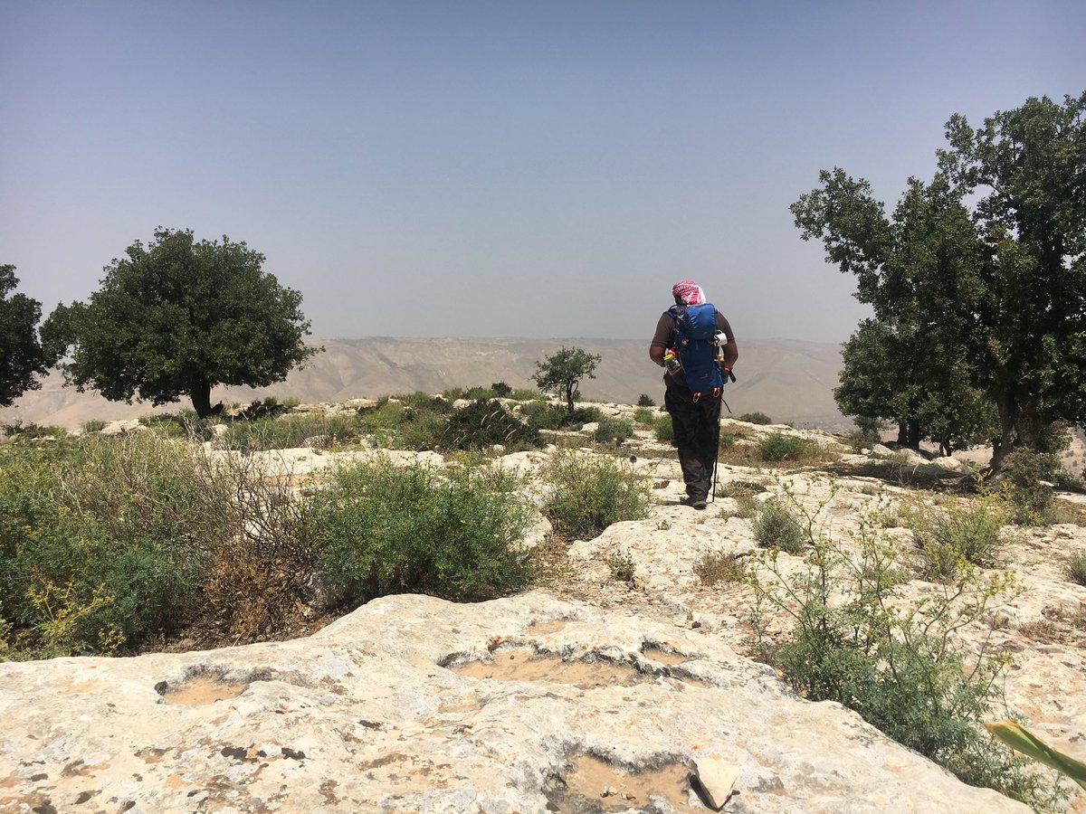cecinunez's tweet photo. Poner en el mapa de sitios obligados a las rutas sólo exploradas por comunidades locales.
Mi primera mañana en Jordania: andando los caminos entre árboles de olivos en Umm Qais #Barakadestinations #AdventureInJordan #MyJordanJourney https://t.co/DEVWsMluG1