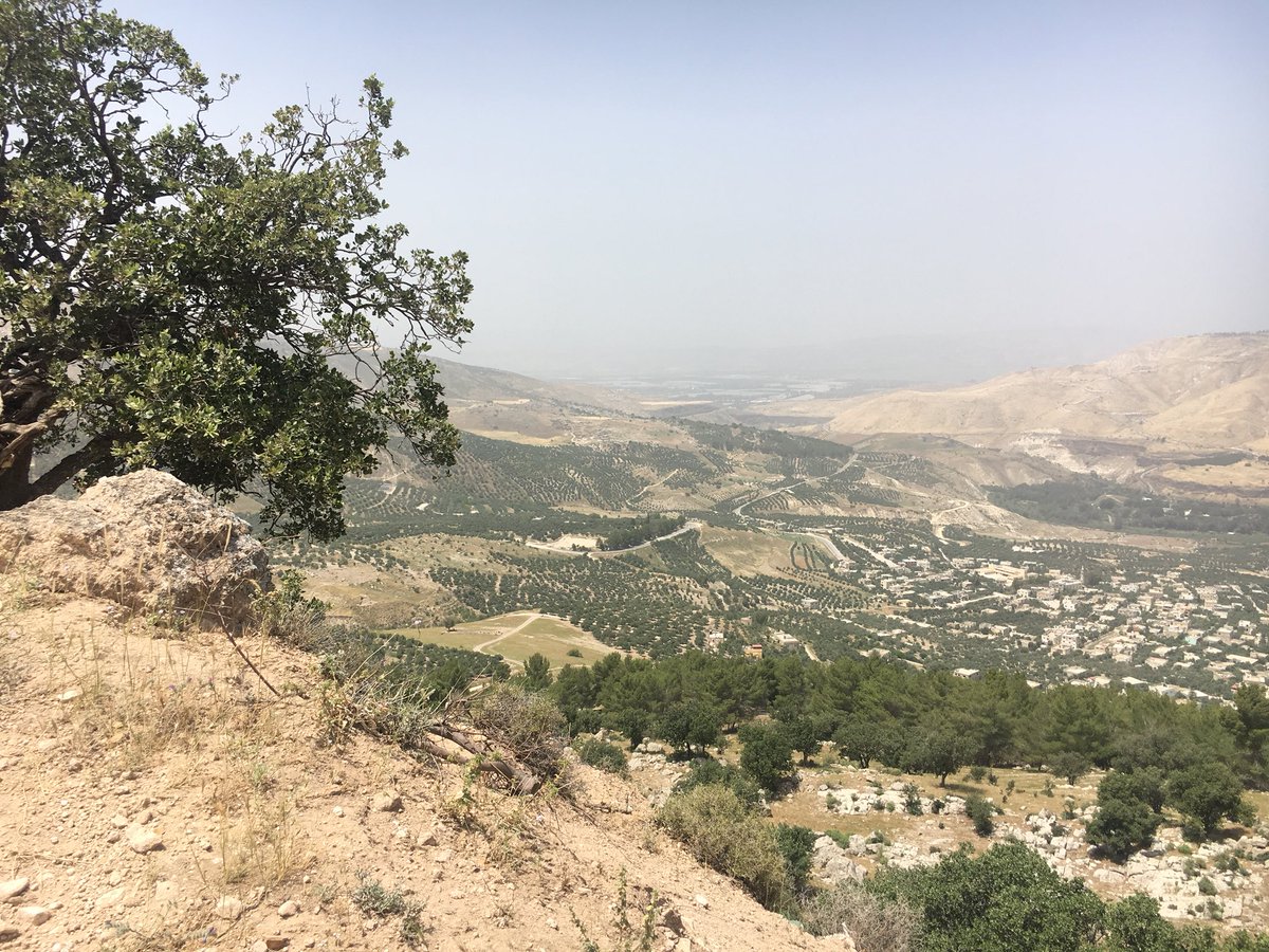 cecinunez's tweet photo. Poner en el mapa de sitios obligados a las rutas sólo exploradas por comunidades locales.
Mi primera mañana en Jordania: andando los caminos entre árboles de olivos en Umm Qais #Barakadestinations #AdventureInJordan #MyJordanJourney https://t.co/DEVWsMluG1