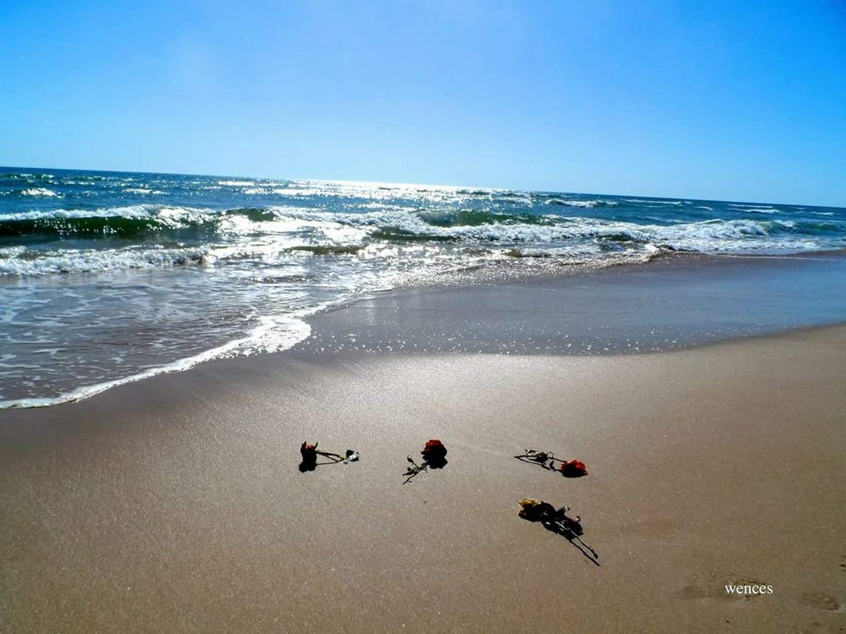 Perdona, soy artista 💚 tweet media