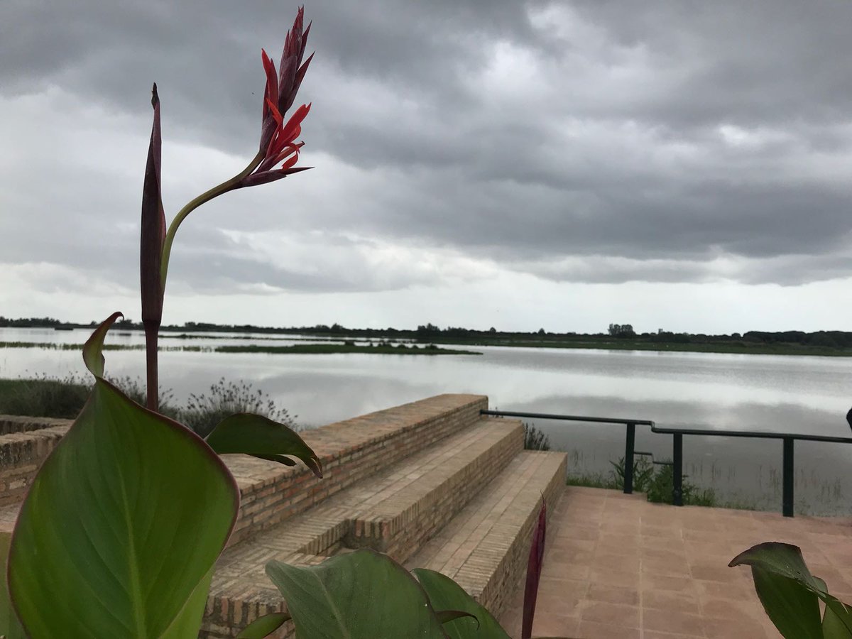 Perdona, soy artista 💚 tweet media