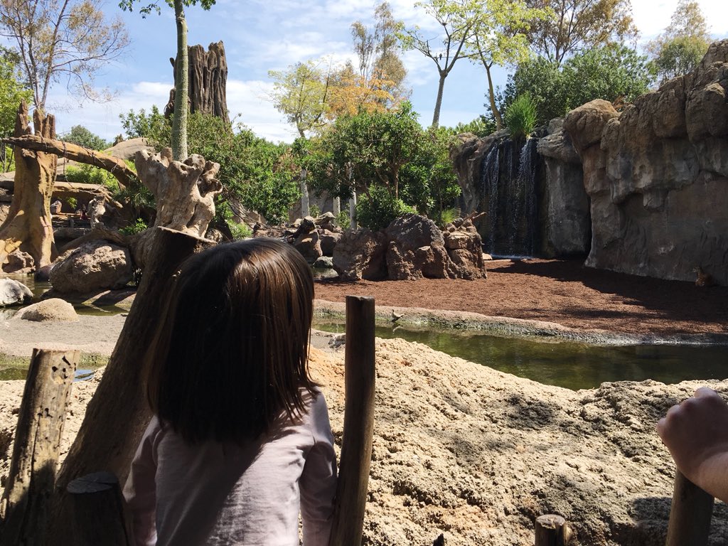 Qué hermoso es <a href="/Bioparc/">BIOPARC Valencia</a> y además nos está haciendo buen tiempo bieeeee!!! Os lo recomiendo ❤️ podéis ver toda la info en bioparcvalencia.es