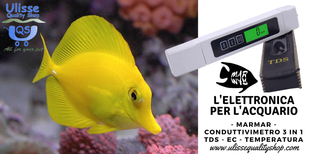 UlisseQualitySh's tweet photo. Conduttivimetro MarMar. 3 funzioni, 1 tester. Scopri di più.
https://t.co/1AQ7PHtHCx
#conduttivimetro #TDS #EC #ulissequalityshop #marmar #acquari #acquariomarino #acquariofilia https://t.co/QtOwogYhO1