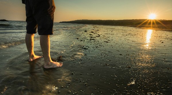 Envie d'air frais? Les parcs du Nouveau-Brunswick font partie des petits bijoux du Canada. Ils vous attendent...
#JAcadie #ExploreCanada