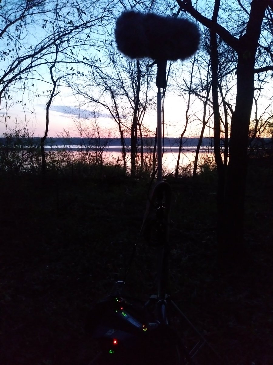 The_Soundscape's tweet photo. Streaming live for #IDCD from Jester Park in Iowa! @soundtent #Reveil2018 #IDCD18 https://t.co/KLKNeXCyOa