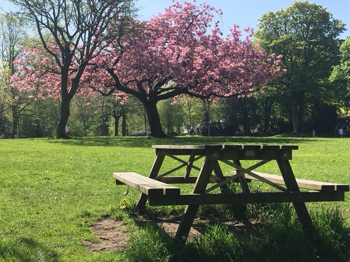 Just making the most of the sun ^_^ https://t.co/i9d0S5NxNU<a href="/tag/panties"class="tags"><span>#panties</span></a><a href="/tag/trap"class="tags"><span>#trap</span></a><a href="/tag/femininity"class="tags"><span>#femininity</span></a><a href="/tag/transgender"class="tags"><span>#transgender</span></a><a href="/tag/gurl"class="tags"><span>#gurl</span></a>