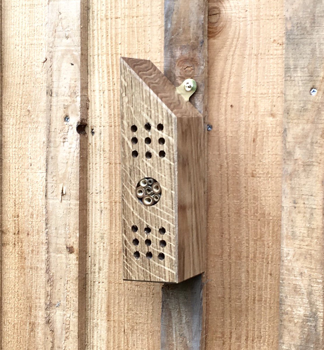 HenBeeGardens's tweet photo. Give the Mason bees a home with this lovely upcycled oak bee & bug hotel.
https://t.co/D7i3sT7P5a
#WorldNakedGardeningDay #SaturdayMotivation #SaturdayMorning @Crafturday_ #giftideas #shopindie #onlinecraft #handmade #upcycling #Recycle #recycleandreuse #SaveTheBees #wilduk https://t.co/dUmzCSiqAO