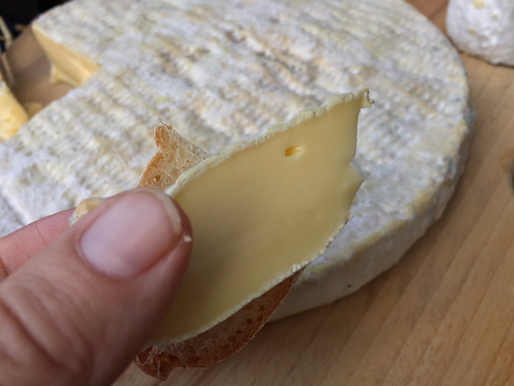kimhonan's tweet photo. 🧀🐄TOP CHEESE🐄🧀

This is some of the best cheese in the country. Deb Allard's Velvet Chaussette is a @deliciousAUS Produce Awards winner in the From the Dairy section. 😋 #deliciousproduceawards #dairy #cheese #jersey #burringbar #harvestfoodfest #northernrivers @ABCNorthCoast https://t.co/HPPurRfK7T