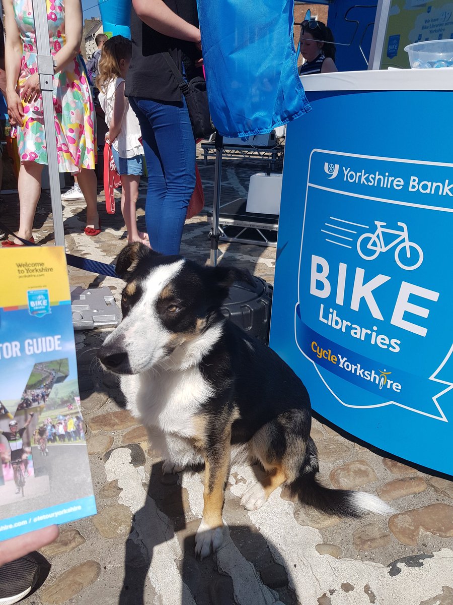BikeLibraries's tweet photo. Another great candidate for #DogsofTDY , meet Ollie the Collie! ππ΄ββοΈπ @yorkshirebank https://t.co/j4s5Oq3bd2