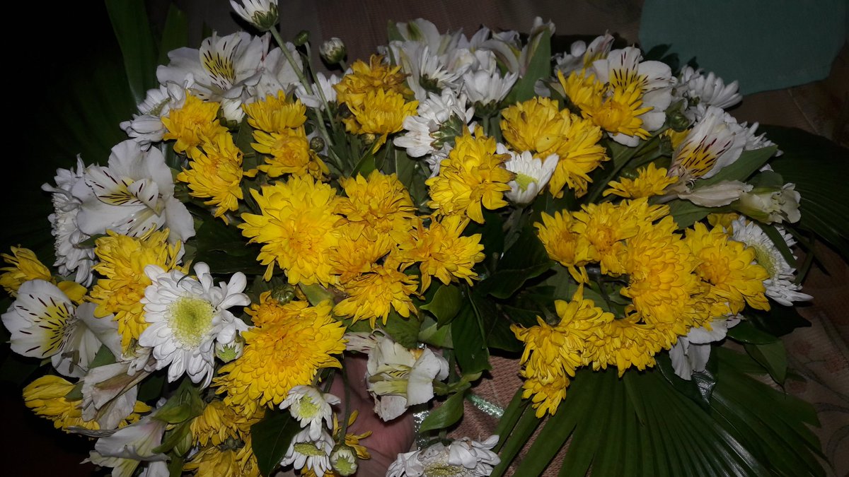 diensquared's tweet photo. Nareceive ko na agad yung flowers ni @enchongdee777 (chos lang sunflower yon) hahaha

#EnchongDeeOnMMK
#MMKSeedOfHope https://t.co/rTb5TtcHWh