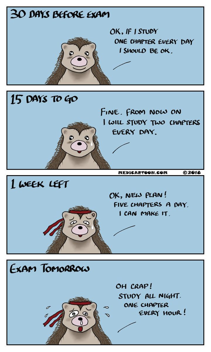 Medicartoon's tweet photo. I'm sure we've all done this at some point? 😅

Good luck for everyone who is going through exams 😉

https://t.co/oMCg8SDJHA 

#medicalstudent #student #exam #nursingstudent #medicalschool #nursingschool #physicianassistant #physicianassistant #finalexam #osce https://t.co/89YIlTuV23
