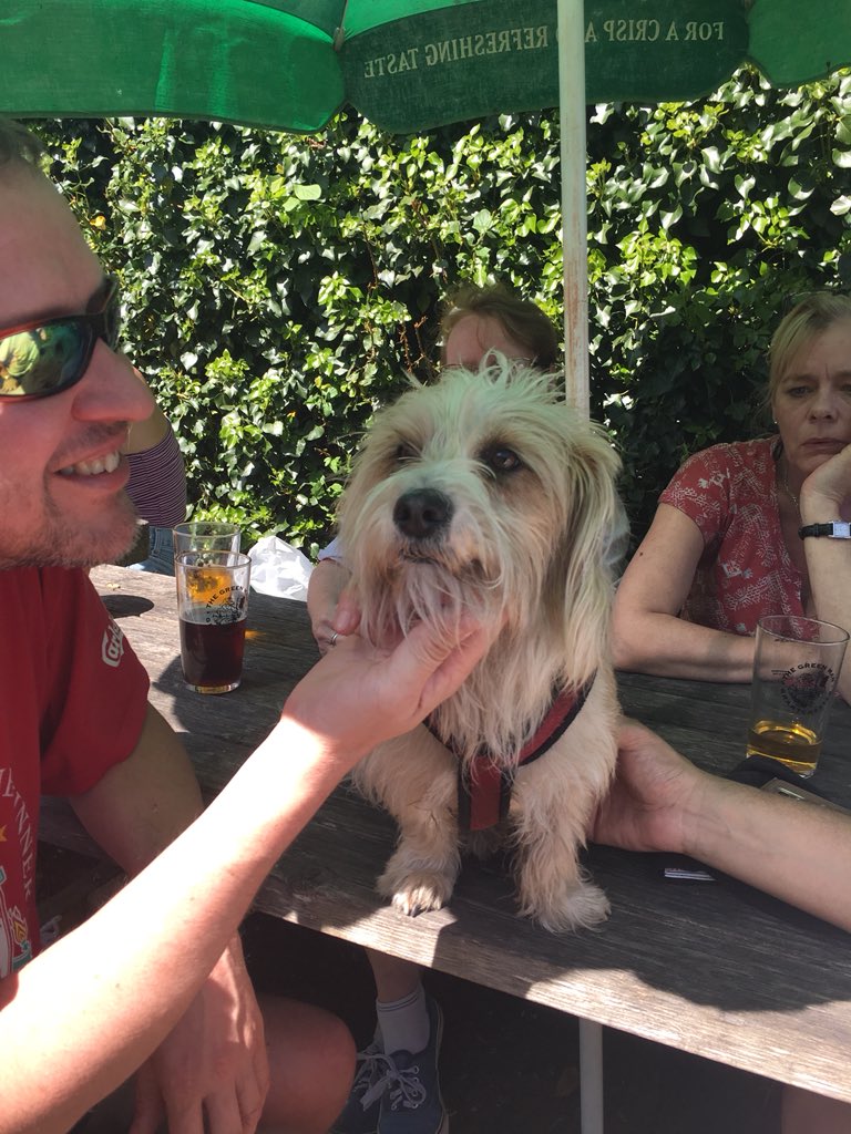 camrasmith's tweet photo. @GMGrantchester7 Enjoying the dog friendly atmosphere and the beer at the Beltane Festival https://t.co/kRdQOd1AYG