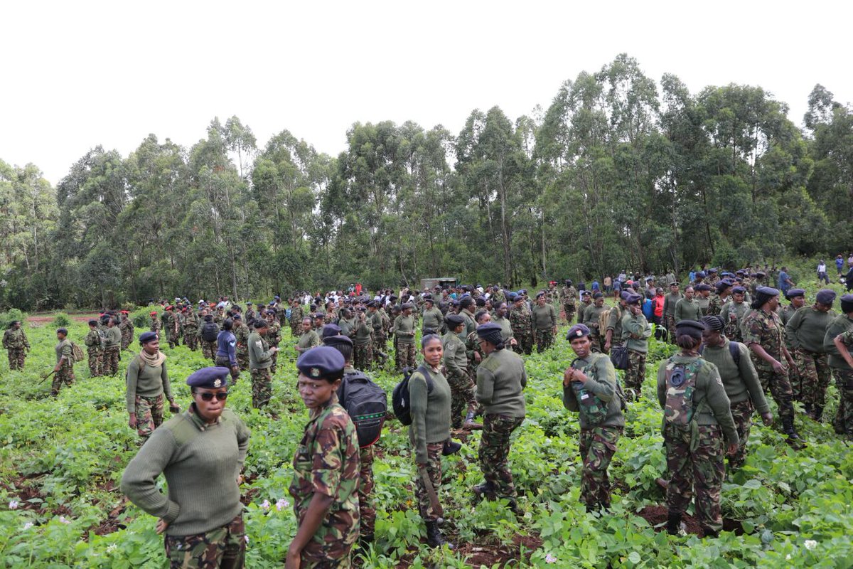 Environment_Ke's tweet photo. 3. We want to thank @kdfinfo who have so far planted 23 million trees under the Environmental Soldier Program #TreePlantKe🌲 @KeForestService @kwtaagency @ngcc_ke https://t.co/wlxDOW6Ftz
