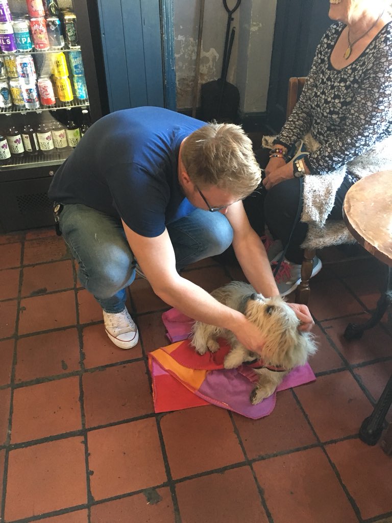 camrasmith's tweet photo. Short beer break and a fussing from Jen and Dylan @TheMillCam before our walk across Grantchester meadows to The Green Man beer festival https://t.co/wQtTA6uLgV