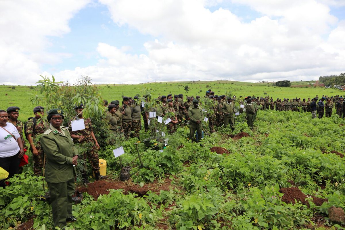 Environment_Ke's tweet photo. 3. We want to thank @kdfinfo who have so far planted 23 million trees under the Environmental Soldier Program #TreePlantKe🌲 @KeForestService @kwtaagency @ngcc_ke https://t.co/wlxDOW6Ftz