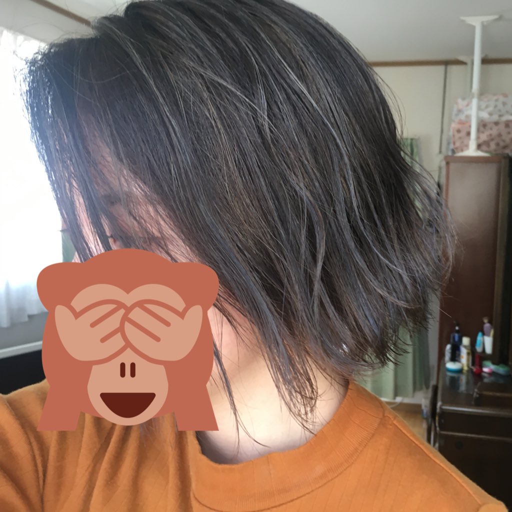 遠出するってなるととりあえず髪染めたくなって、めちゃめちゃいい色にしてもらった（╹◡╹）
来週はHarry〜3年ぶりです、ひとりです誰か会場で会ってください