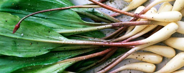 Saturday May 5 is our opening day at the Growers Market, and we've got ramps! - mailchi.mp/b118e8893306/s…