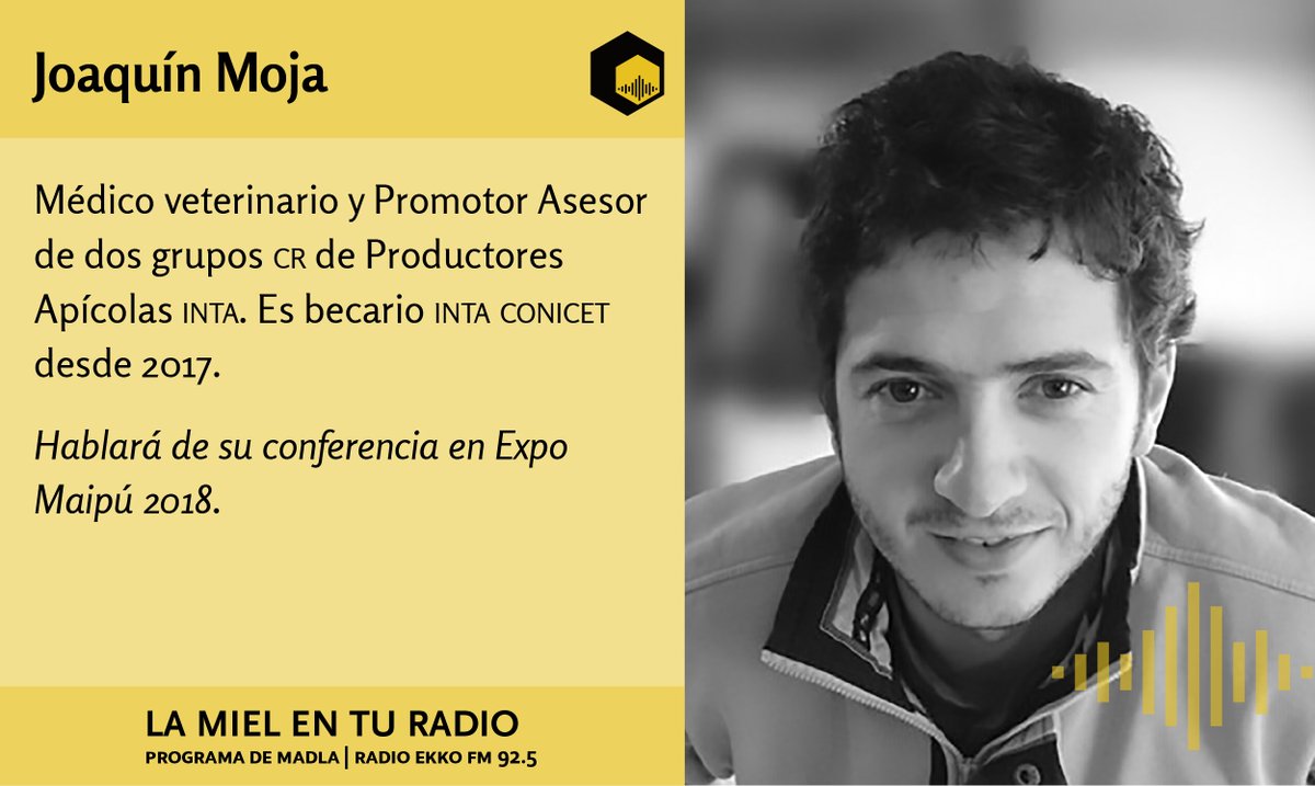 LaMielEnTuRadio's tweet photo. Nuestro primer entrevistado es @JoaquinMoja, médico veterinario y becario @intaargentina @CONICETDialoga. Nos habla de su conferencia en la @ExpoMielMaipu 2018.
@INTAInforma @REDLACaf https://t.co/2ERZ2SeLWM