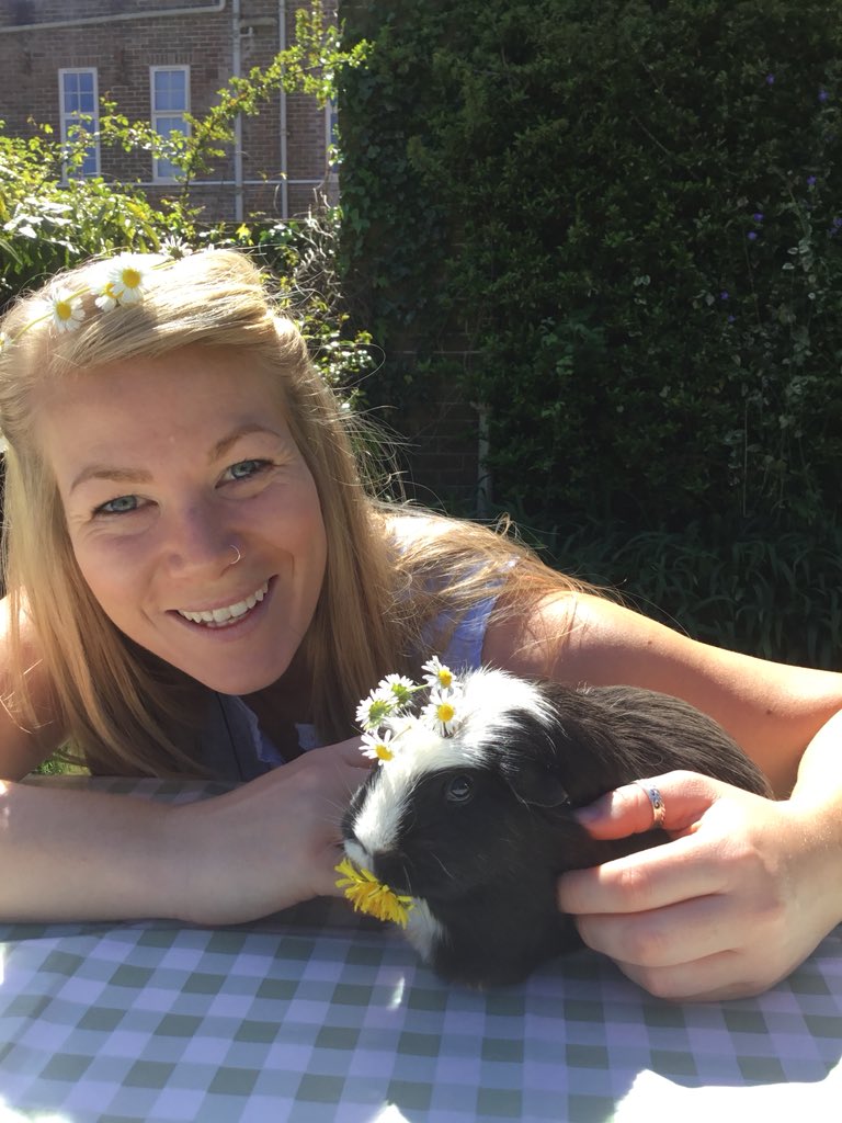 THSch_Boarding's tweet photo. Princess Cookie with her flower crown #ibetyouthinkthissongisaboutyou #boardingpet #iloveboarding #thboarding https://t.co/L8xXs8QoqX