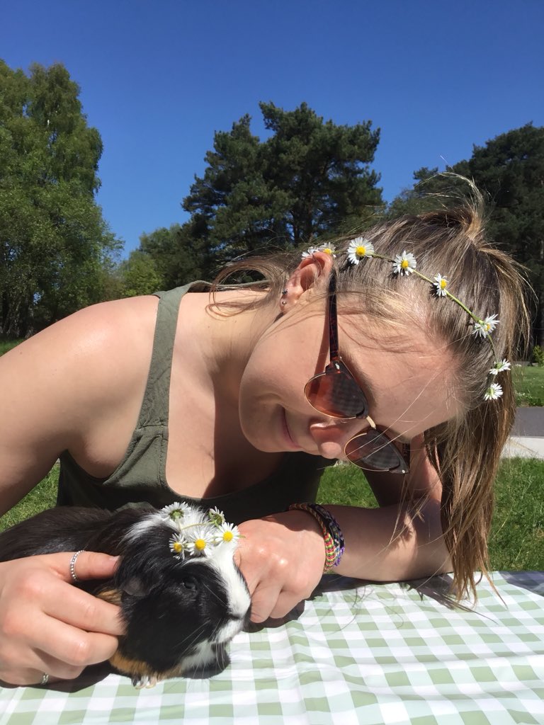 THSch_Boarding's tweet photo. Princess Cookie with her flower crown #ibetyouthinkthissongisaboutyou #boardingpet #iloveboarding #thboarding https://t.co/L8xXs8QoqX