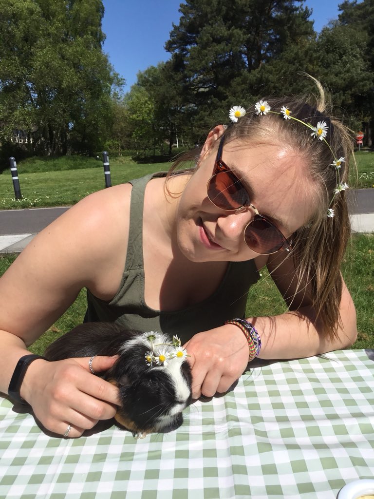 THSch_Boarding's tweet photo. Princess Cookie with her flower crown #ibetyouthinkthissongisaboutyou #boardingpet #iloveboarding #thboarding https://t.co/L8xXs8QoqX