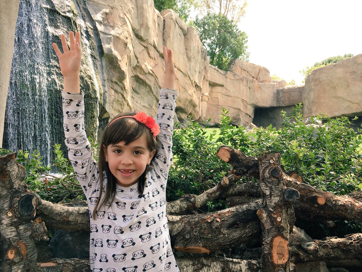 Desde <a href="/Bioparc/">BIOPARC Valencia</a> hemos visto hipopótamos, chimpancés, gorilas, lémures y aún nos quedan un montón por ver!!!