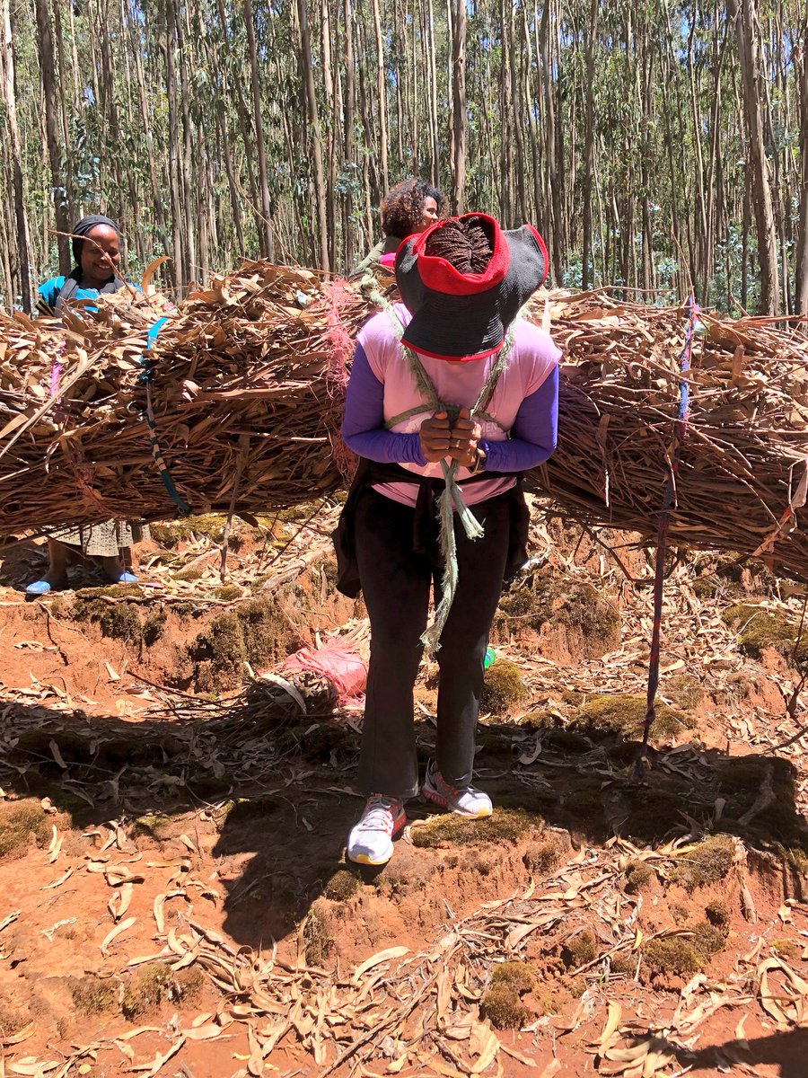 Andreas Gaarder, Norwegian Ambassador tweet media